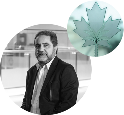 Department of Architecture